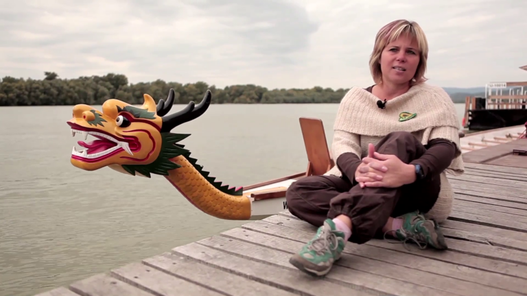 ALDI SZÖVETSÉG AZ IFJÚSÁGÉRT – DUNAI SÁRKÁNYOK