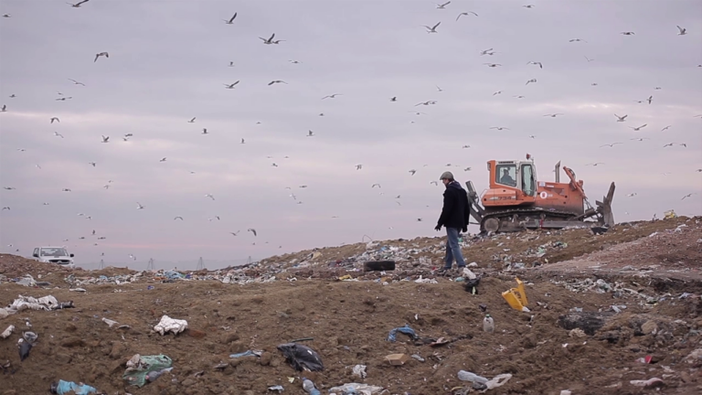 MIÉRT NEM? / AZ ÉLELMISZERHULLADÉKOKRÓL