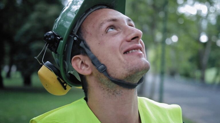 FŐKERT / ÖRÖKZÖLD TÖRTÉNETEK – FADOKTOROK