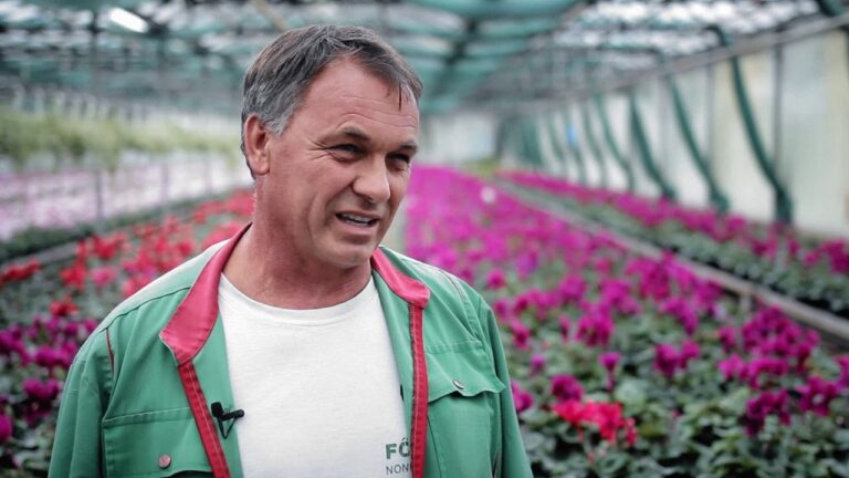 FŐKERT / ÖRÖKZÖLD TÖRTÉNETEK – BUDAPEST VIRÁGAI