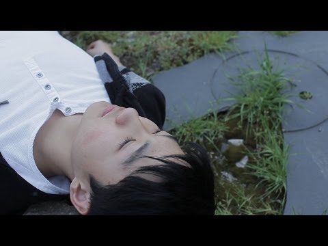 Álomgyár – Az elhivatottság művészete