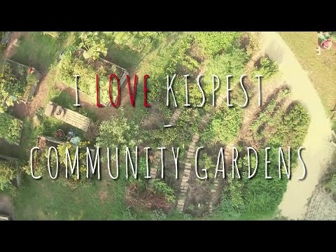 I LOVE KISPEST – KÖZÖSSÉGI KERTEK