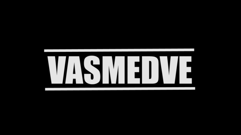 Vasmedve