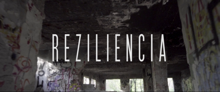 Reziliencia