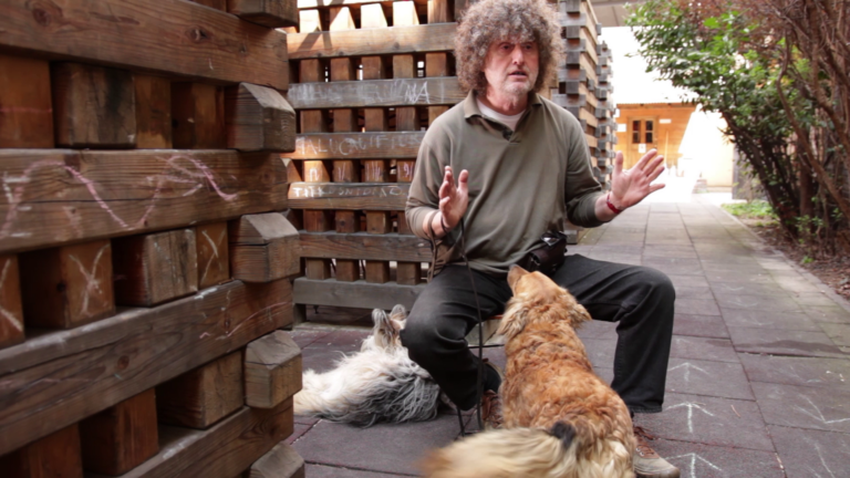 RE-volució – mi is az az ’56? – Bornai Tibor