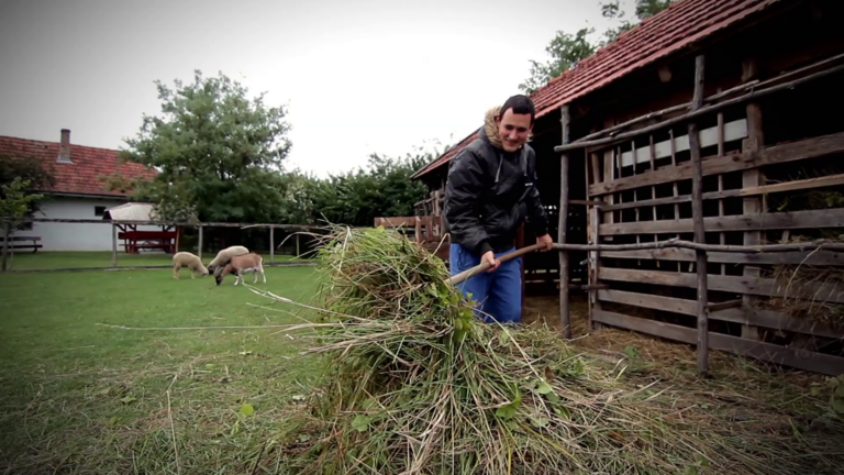 ALDI SZÖVETSÉG AZ IFJÚSÁGÉRT / VÉSZTŐI SÉRÜLT GYERMEKEKÉRT EGYESÜLET