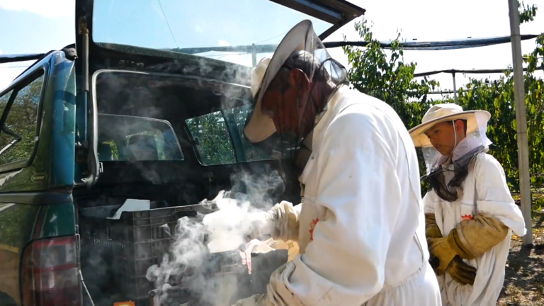 ALDI SZÖVETSÉG AZ IFJÚSÁGÉRT – Bábolnai egészségnap