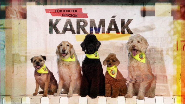 A legjobb lehetőség, hogy a kutyákra bíztam magam.